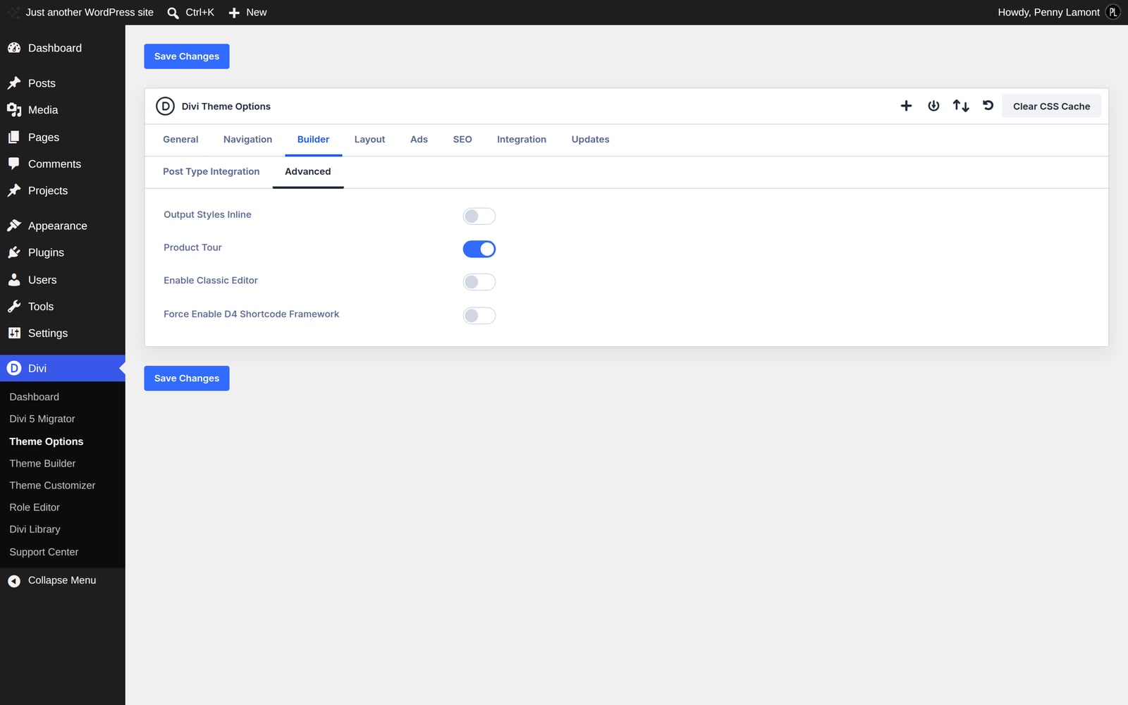Divi Theme Options on the Builder Advanced tab, with the Clear CSS Cache button