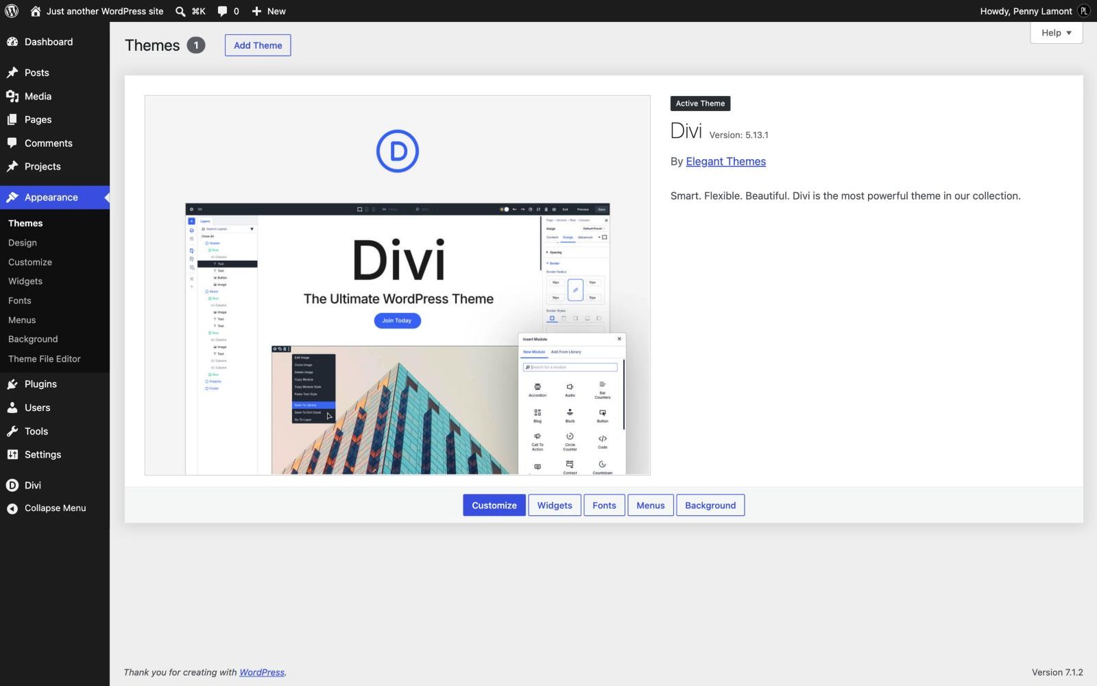 The Themes screen in the WordPress admin, with the Add Theme button