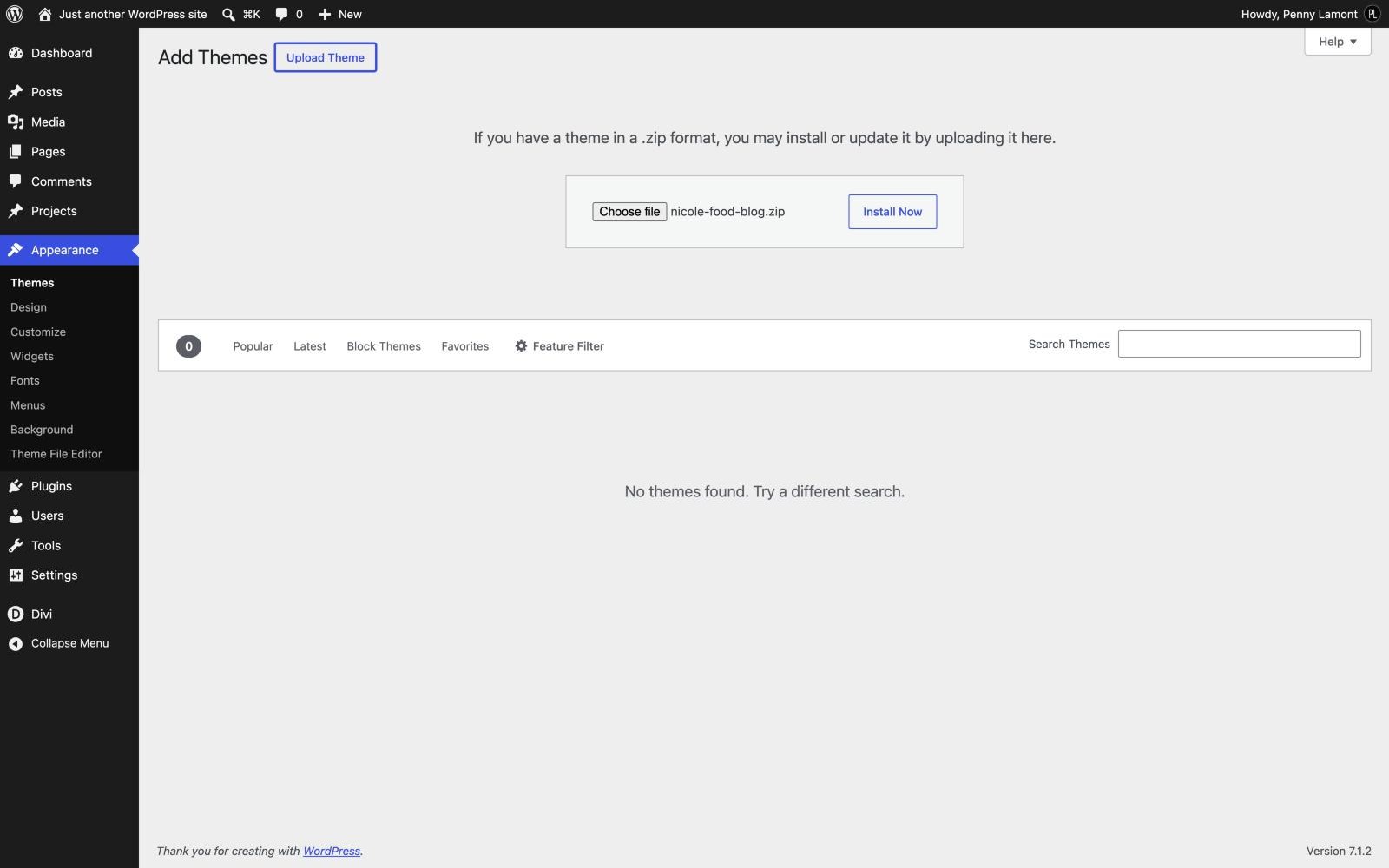 The WordPress theme uploader with nicole-food-blog.zip chosen and Install Now ready to click