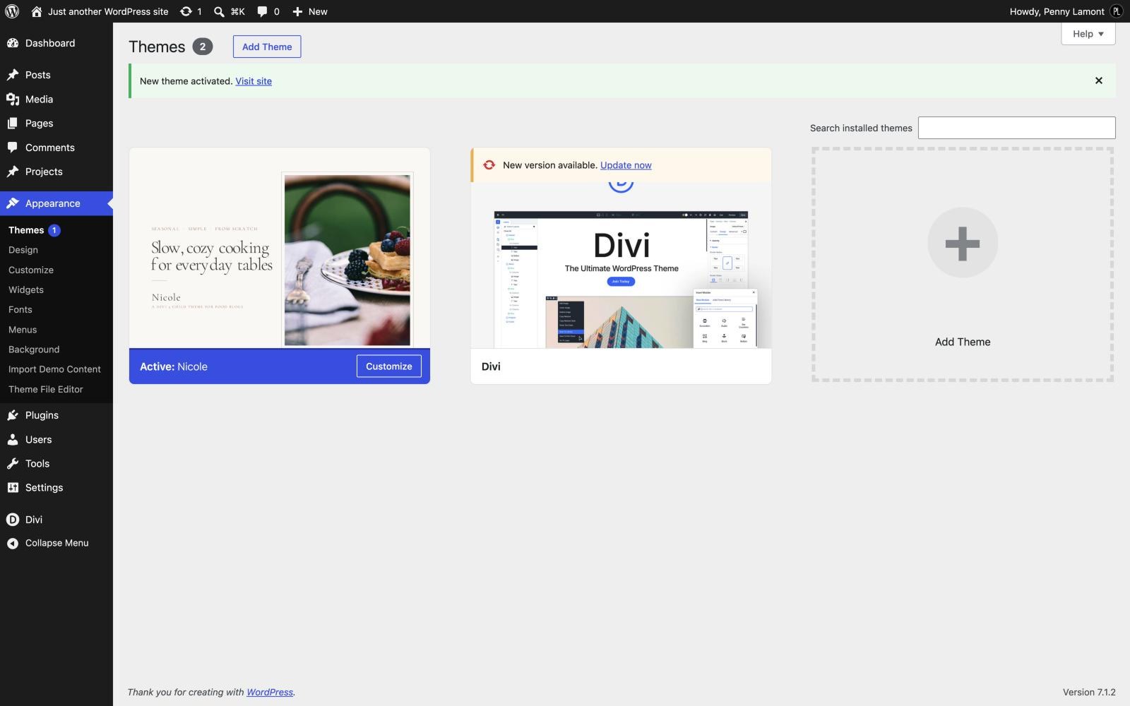 The Themes screen showing Nicole as the active theme, with Import Demo Content under Appearance