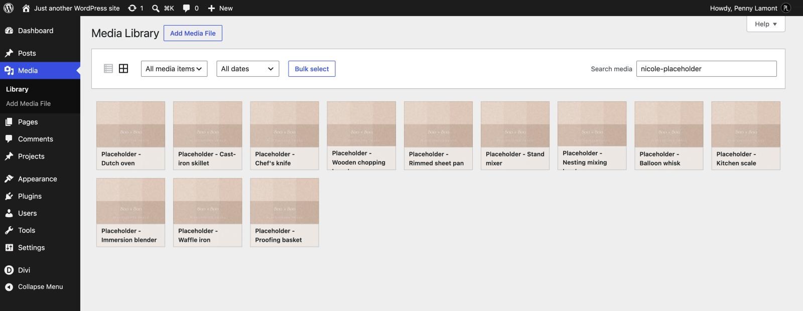 The Media Library searched for nicole-placeholder, listing the twelve labelled placeholders