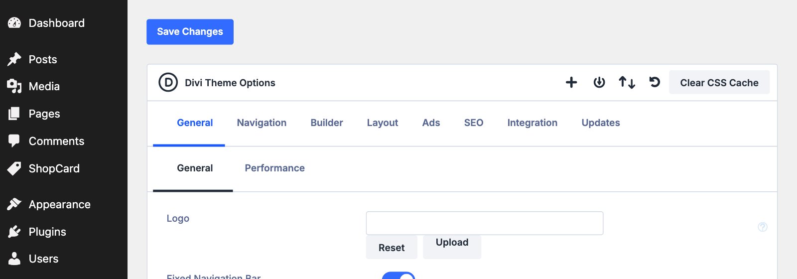 Divi Theme Options with the Clear CSS Cache button